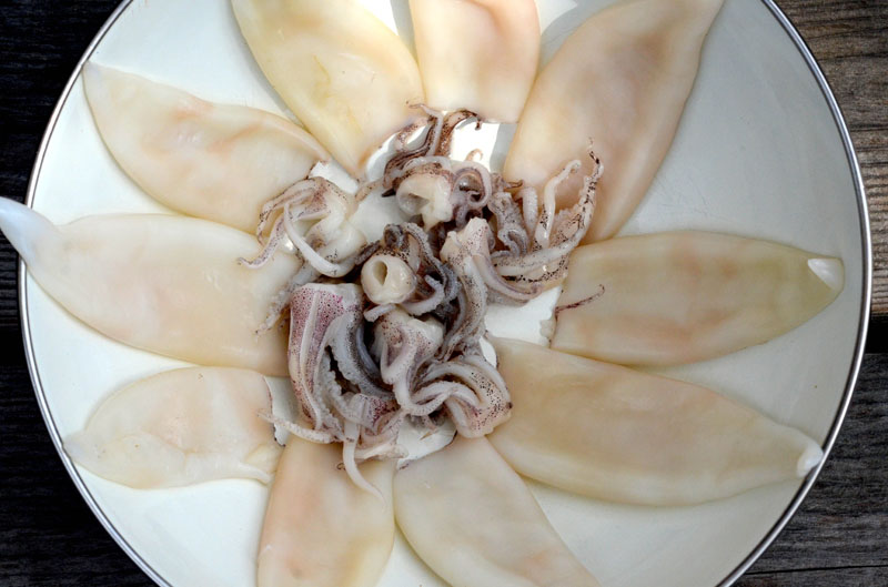 2014_04_12__b_calamari